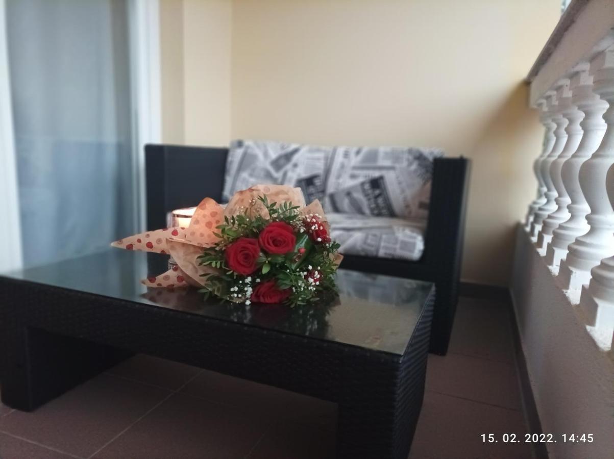 Palma Guesthouse Palit Luaran gambar